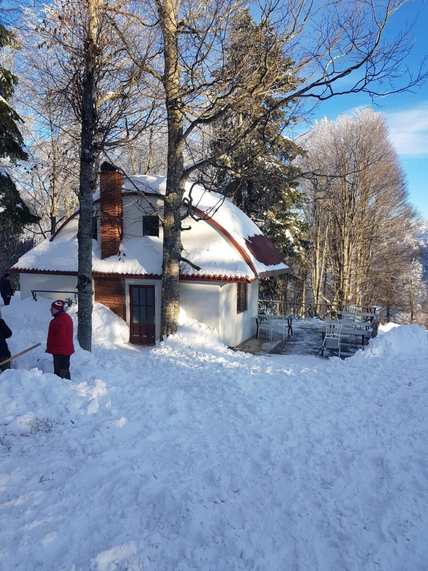 Teona Kartepe Bungalov المظهر الخارجي الصورة